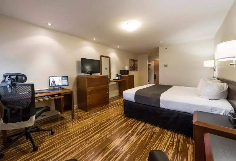 اتاق اجرایی با تخت بزرگ, & Suites Le Dauphin Quebec