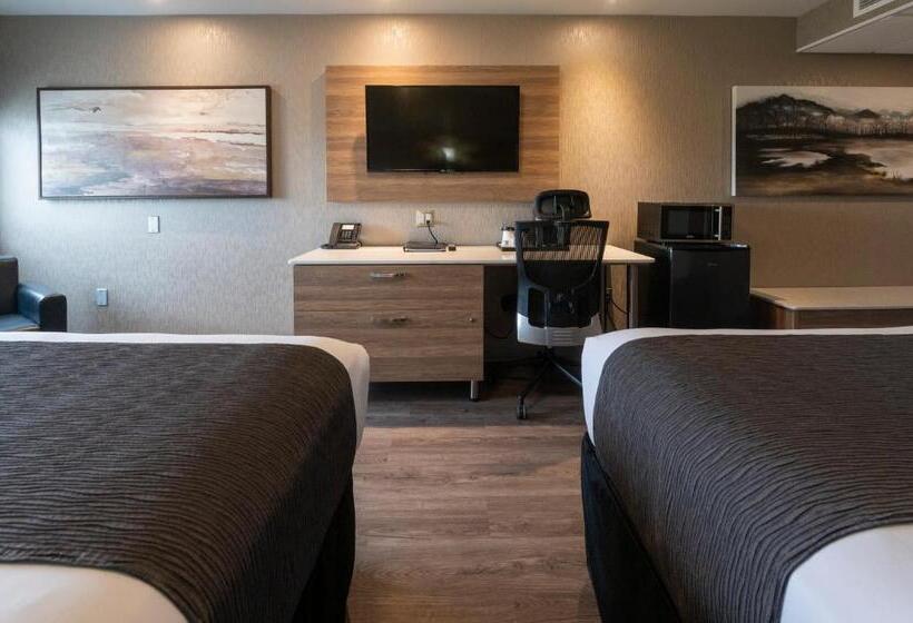 اتاق استاندارد, & Suites Le Dauphin Quebec