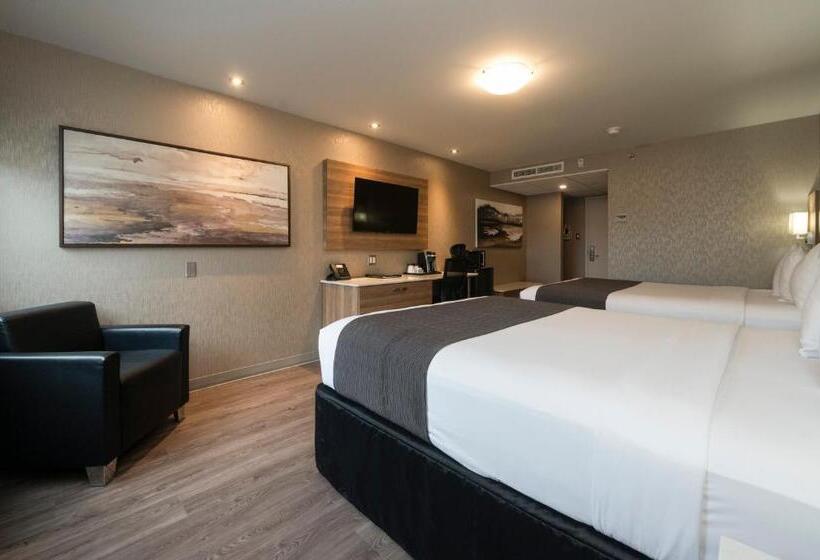 اتاق استاندارد, & Suites Le Dauphin Quebec