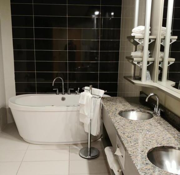 سوییت, & Suites Le Dauphin Quebec