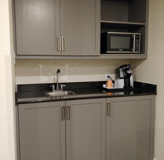 سوییت, & Suites Le Dauphin Quebec