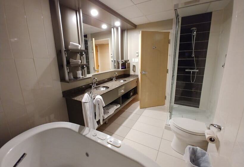 سوییت, & Suites Le Dauphin Quebec