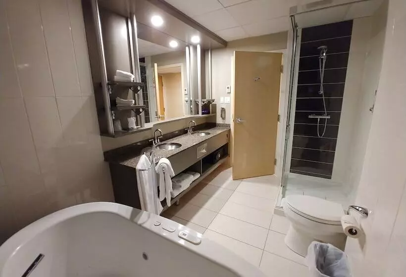 سوییت, & Suites Le Dauphin Quebec