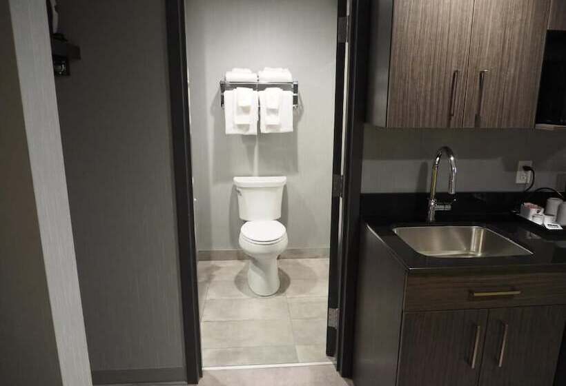 اتاق استاندارد, & Suites Le Dauphin Quebec