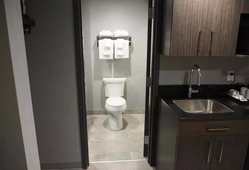 اتاق استاندارد, & Suites Le Dauphin Quebec