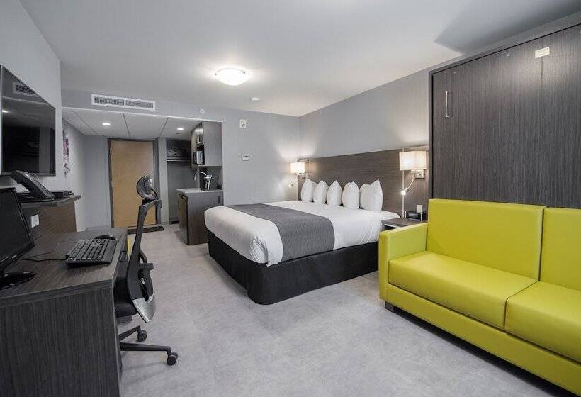 اتاق استاندارد, & Suites Le Dauphin Quebec