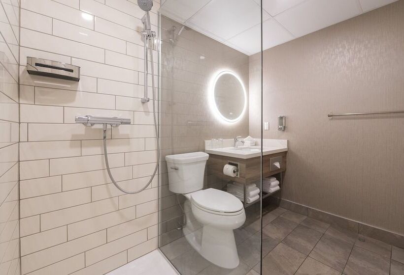 اتاق استاندارد, & Suites Le Dauphin Quebec