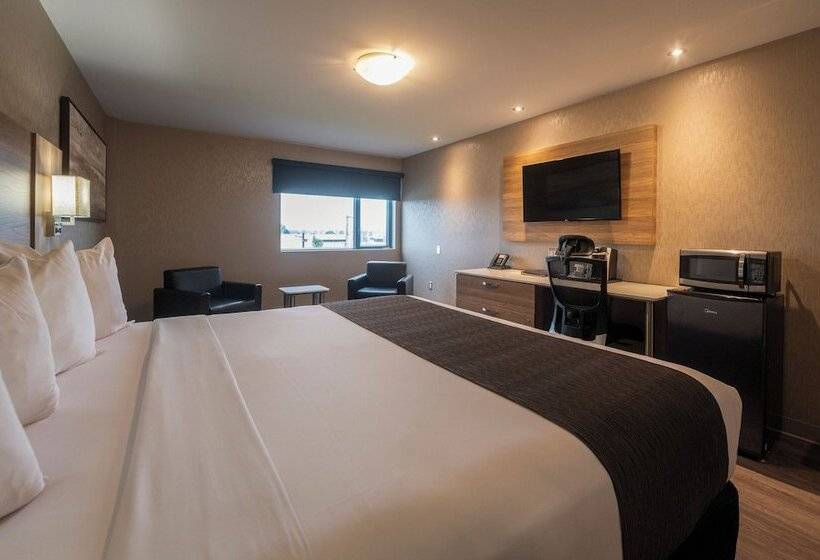 اتاق استاندارد, & Suites Le Dauphin Quebec