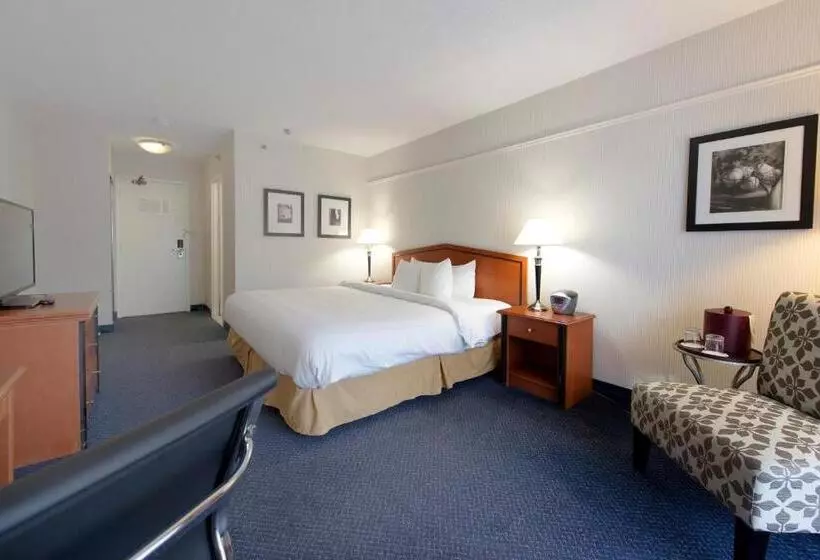 キングサイズベッドのスタンダードルーム, Toronto Don Valley Hotel And Suites