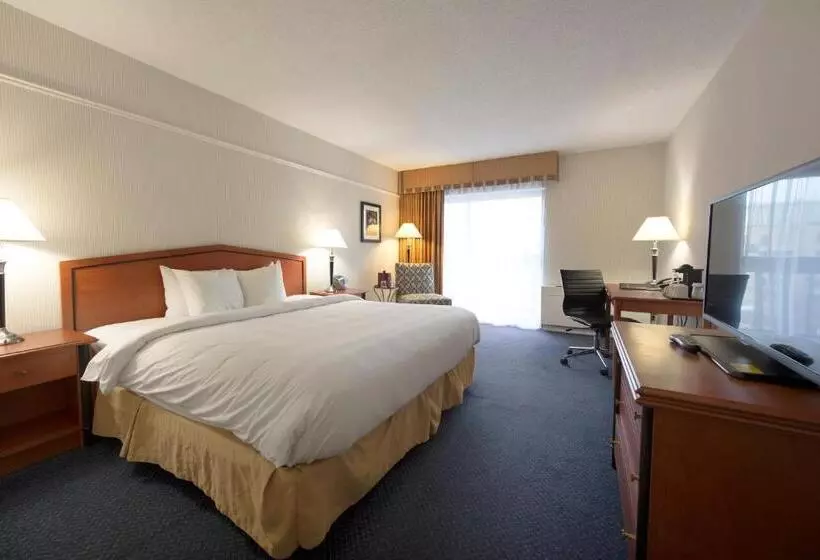 キングサイズベッドのスタンダードルーム, Toronto Don Valley Hotel And Suites
