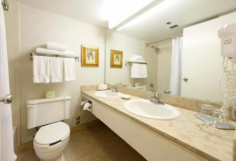 キングサイズベッドのスタンダードルーム, Toronto Don Valley Hotel And Suites