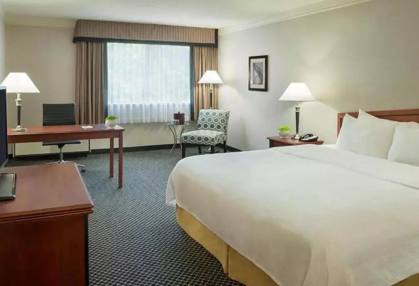 キングサイズベッドのスタンダードルーム, Toronto Don Valley Hotel And Suites