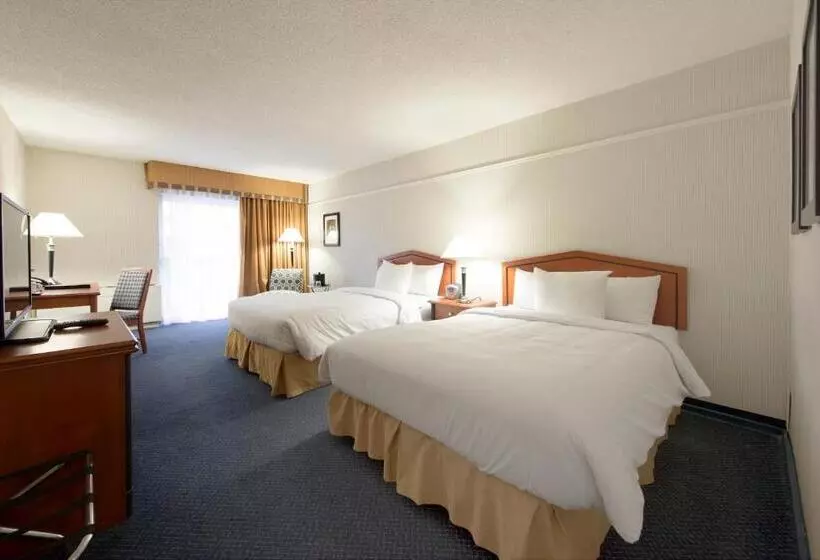 ２ダブルベッドのスタンダードルーム, Toronto Don Valley Hotel And Suites