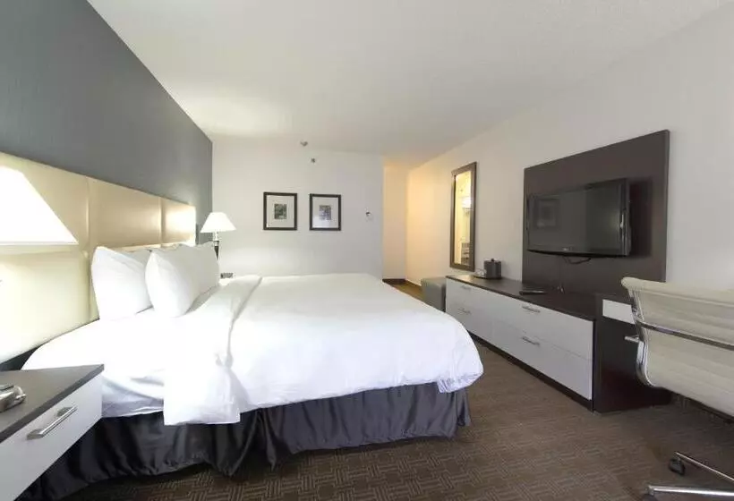 バルコニー付きデラックスルーム, Toronto Don Valley Hotel And Suites