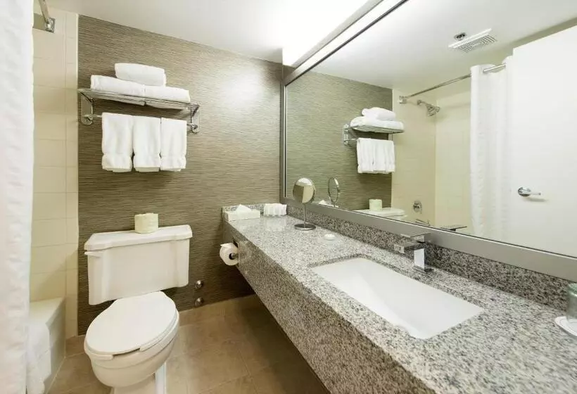 バルコニー付きデラックスルーム, Toronto Don Valley Hotel And Suites