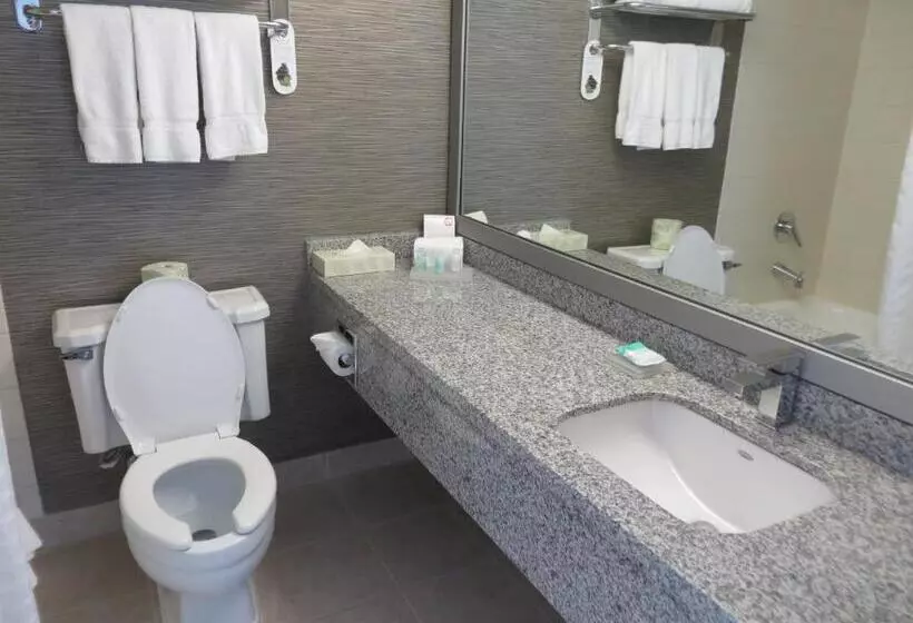 キングサイズベッドのスイートルーム, Toronto Don Valley Hotel And Suites