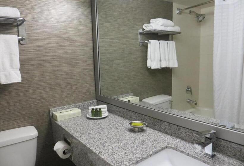 מיטת קינג בסוויטה, Toronto Don Valley Hotel And Suites