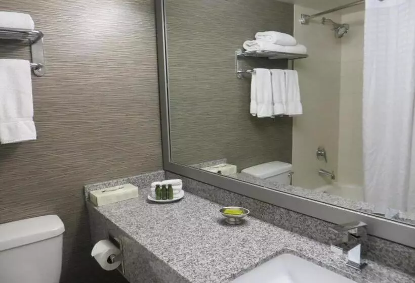 キングサイズベッドのスイートルーム, Toronto Don Valley Hotel And Suites