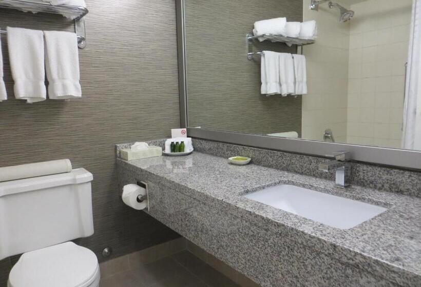 מיטת קינג בסוויטה, Toronto Don Valley Hotel And Suites