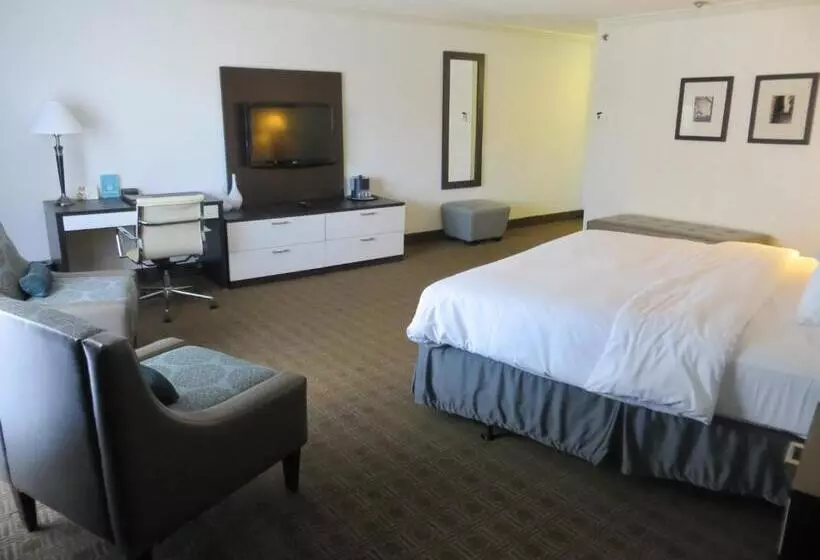 キングサイズベッドのスイートルーム, Toronto Don Valley Hotel And Suites