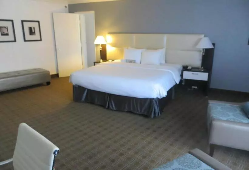 キングサイズベッドのスイートルーム, Toronto Don Valley Hotel And Suites