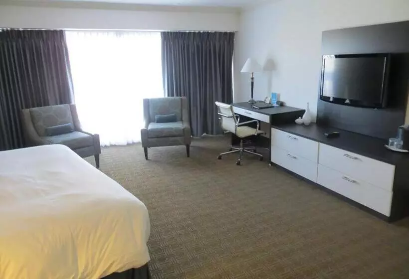 キングサイズベッドのスイートルーム, Toronto Don Valley Hotel And Suites