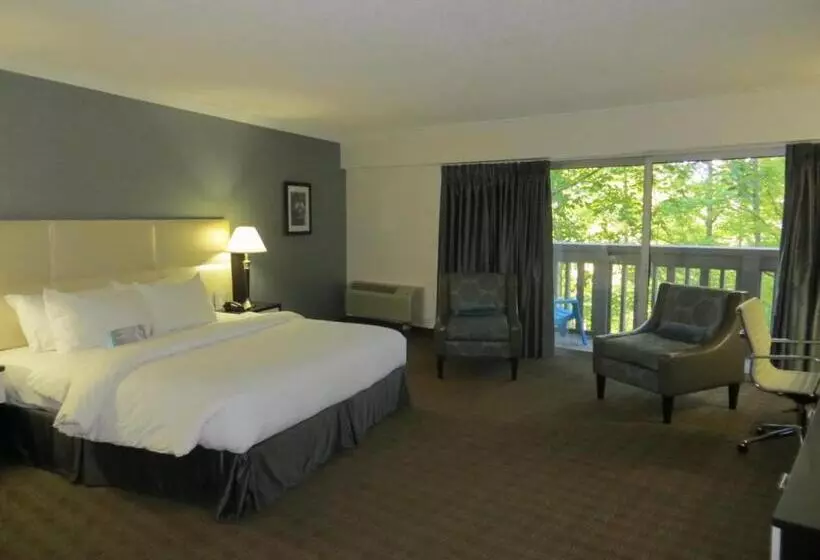 キングサイズベッドのスイートルーム, Toronto Don Valley Hotel And Suites