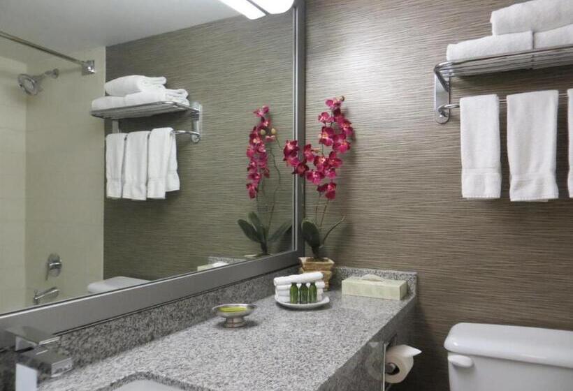 סוויטה, Toronto Don Valley Hotel And Suites