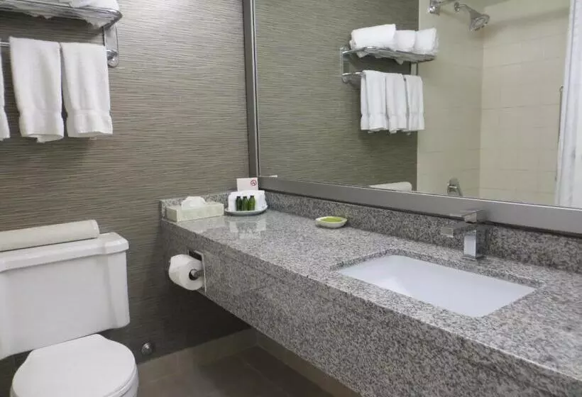 スイート, Toronto Don Valley Hotel And Suites