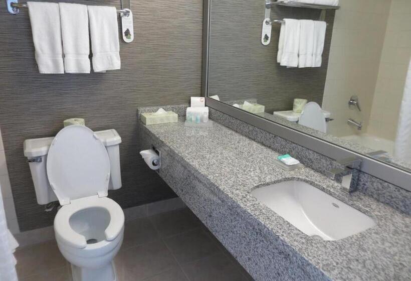 סוויטה, Toronto Don Valley Hotel And Suites