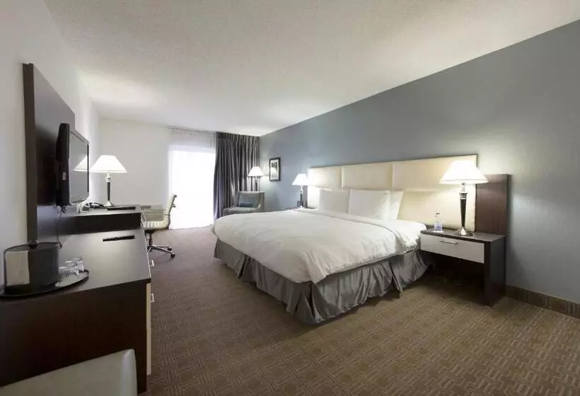キングサイズベッドのデラックスルーム, Toronto Don Valley Hotel And Suites