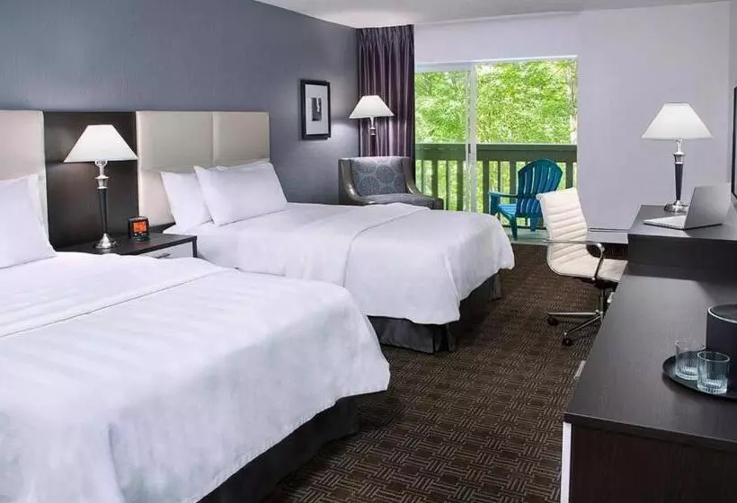 デラックスルーム, Toronto Don Valley Hotel And Suites