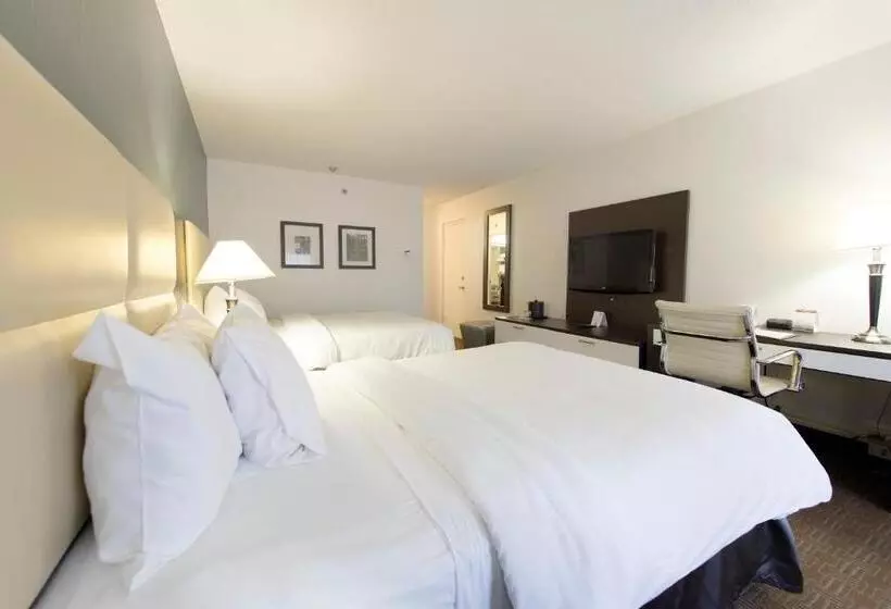 デラックスルーム, Toronto Don Valley Hotel And Suites