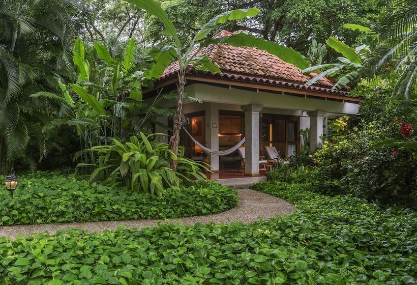 스탠다드 방갈로, Capitan Suizo Beachfront Boutique