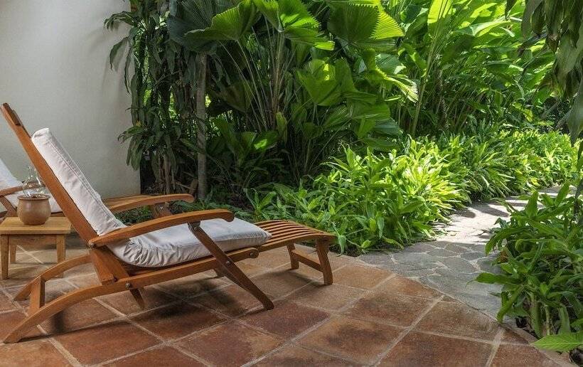 수피리어 테라스 룸, Capitan Suizo Beachfront Boutique