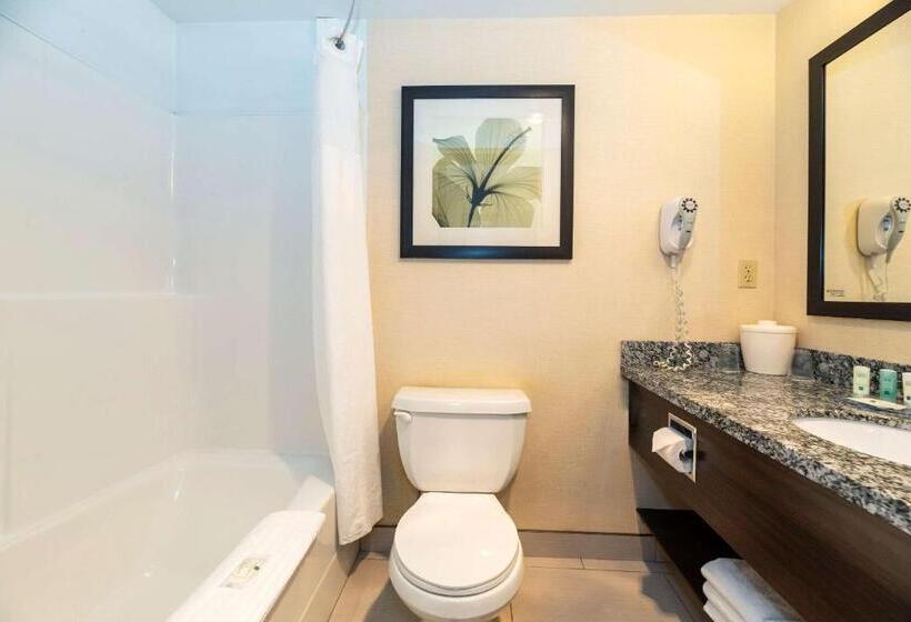 غرفة قياسية سرير كينج, Prestige Riverside Lodge Quesnel