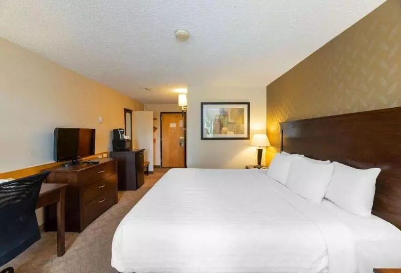 اتاق استاندارد با تخت بزرگ, Prestige Riverside Lodge Quesnel