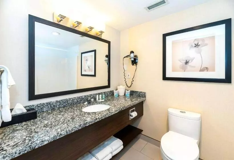 استودیوی استاندارد, Prestige Riverside Lodge Quesnel