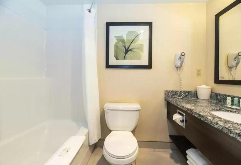 إستوديو قياسى سرير كينج, Prestige Riverside Lodge Quesnel