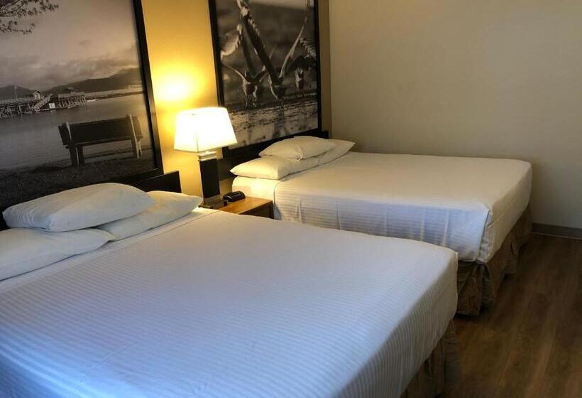 标准间, Super 8 By Wyndham Salmon Arm