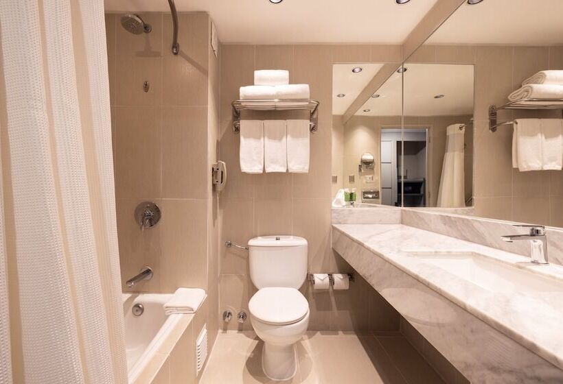 스탠다드 룸, Holiday Inn Express   Iquique, An Ihg