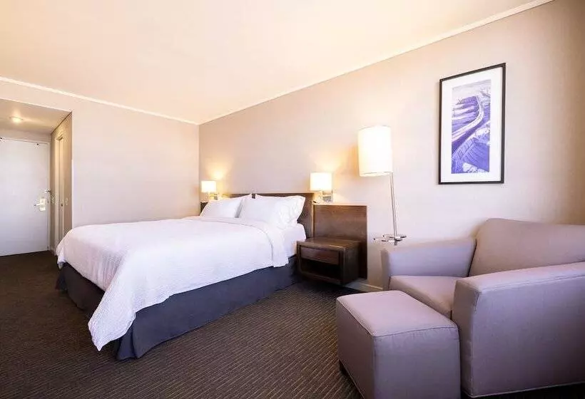 اتاق استاندارد, Holiday Inn Express   Iquique, An Ihg