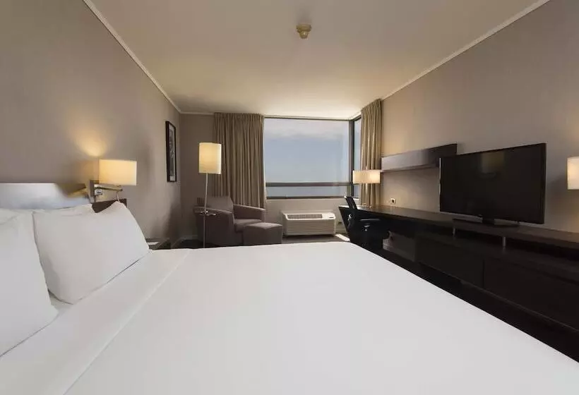 اتاق استاندارد, Holiday Inn Express   Iquique, An Ihg