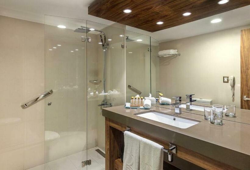 豪华房间, Regal Pacific Santiago