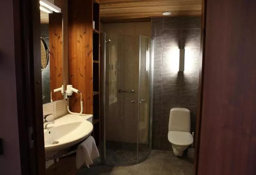 اتاق سوپریور, Levi Hotel Spa