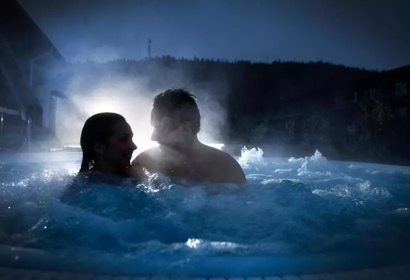 اتاق استاندارد با دسترسی به اسپا, Levi Hotel Spa