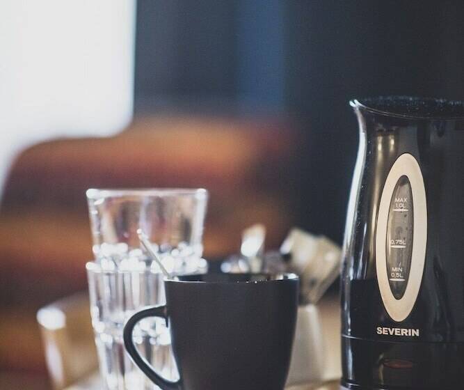 스탠다드 싱글 룸, Levi Hotel Spa