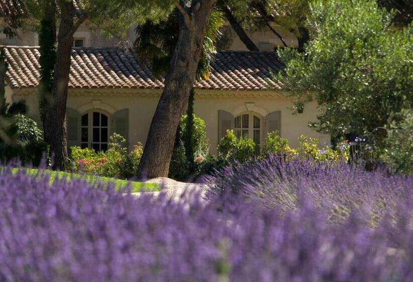 标准间, Benvengudo