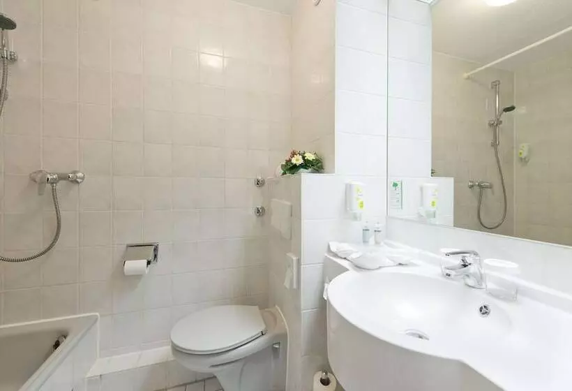 اتاق سوپریور, ACHAT Hotel Rüsselsheim Frankfurt