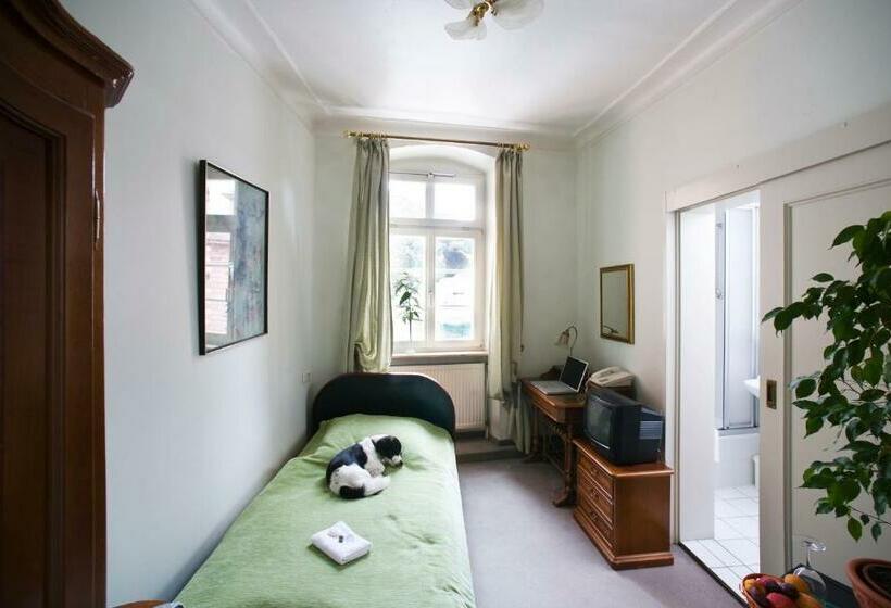 标准单人间, Goldener Hecht